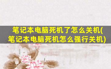 笔记本电脑死机了怎么关机(笔记本电脑死机怎么强行关机)