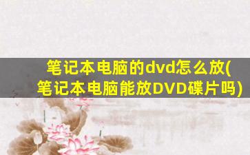 笔记本电脑的dvd怎么放(笔记本电脑能放DVD碟片吗)