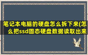 笔记本电脑的硬盘怎么拆下来(怎么把ssd固态硬盘数据读取出来)