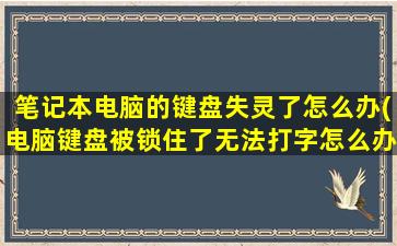 笔记本电脑的键盘失灵了怎么办(电脑键盘被锁住了无法打字怎么办)