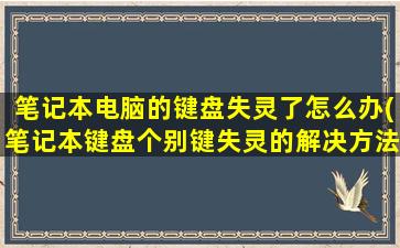 笔记本电脑的键盘失灵了怎么办(笔记本键盘个别键失灵的解决方法)