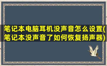 笔记本电脑耳机没声音怎么设置(笔记本没声音了如何恢复扬声器)