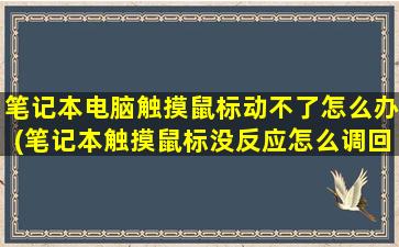 笔记本电脑触摸鼠标动不了怎么办(笔记本触摸鼠标没反应怎么调回来)