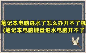 笔记本电脑进水了怎么办开不了机(笔记本电脑键盘进水电脑开不了机)