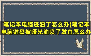 笔记本电脑进油了怎么办(笔记本电脑键盘被哑光油喷了发白怎么办)