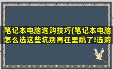 笔记本电脑选购技巧(笔记本电脑怎么选这些坑别再往里跳了!选购误区盘点)