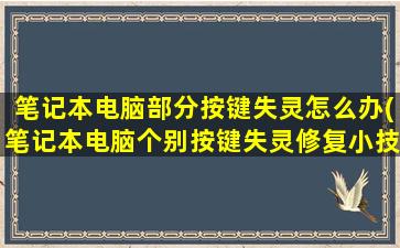 笔记本电脑部分按键失灵怎么办(笔记本电脑个别按键失灵修复小技巧)