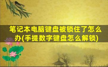 笔记本电脑键盘被锁住了怎么办(手提数字键盘怎么解锁)