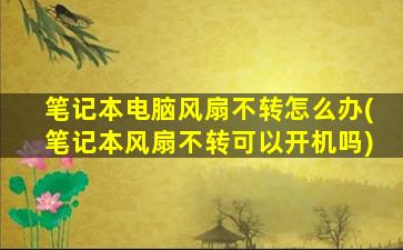 笔记本电脑风扇不转怎么办(笔记本风扇不转可以开机吗)