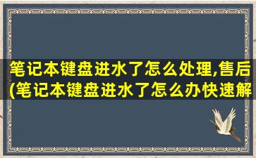 笔记本键盘进水了怎么处理,售后(笔记本键盘进水了怎么办快速解决方法...)