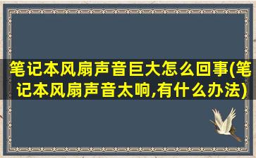 笔记本风扇声音巨大怎么回事(笔记本风扇声音太响,有什么办法)