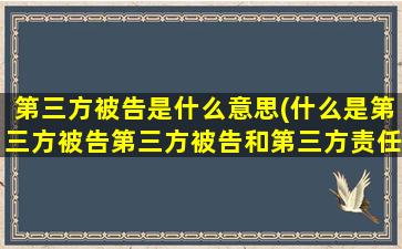 第三方被告是什么意思(什么是第三方被告第三方被告和第三方责任人有什么区别)