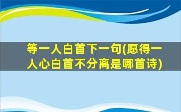 等一人白首下一句(愿得一人心白首不分离是哪首诗)