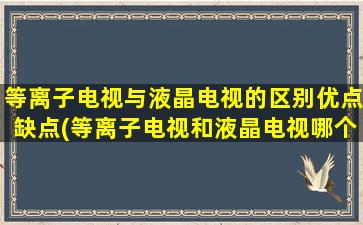 等离子电视与液晶电视的区别优点缺点(等离子电视和液晶电视哪个比较好并说明理由)