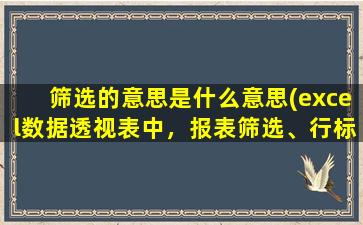 筛选的意思是什么意思(excel数据透视表中，报表筛选、行标签、列标签、数值。这四个是什么意思)