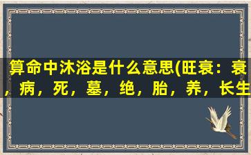 算命中沐浴是什么意思(旺衰：衰，病，死，墓，绝，胎，养，长生沐浴冠带这是什么意思)