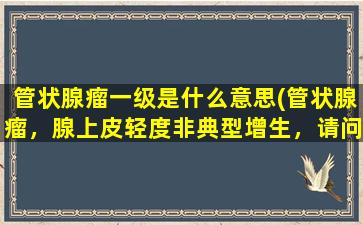 管状腺瘤一级是什么意思(管状腺瘤，腺上皮轻度非典型增生，请问是什么意思)