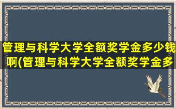 管理与科学大学全额奖学金多少钱啊(管理与科学大学全额奖学金多少钱一个月)