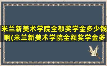 米兰新美术学院全额奖学金多少钱啊(米兰新美术学院全额奖学金多少钱一个月)