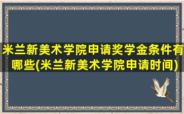 米兰新美术学院申请奖学金条件有哪些(米兰新美术学院申请时间)