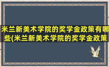 米兰新美术学院的奖学金政策有哪些(米兰新美术学院的奖学金政策怎么样)