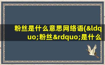 粉丝是什么意思网络语(“粉丝”是什么意思)