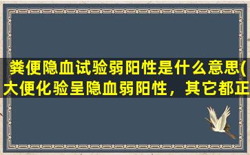 粪便隐血试验弱阳性是什么意思(大便化验呈隐血弱阳性，其它都正常。请问是啥原因)