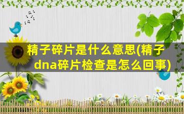 精子碎片是什么意思(精子dna碎片检查是怎么回事)