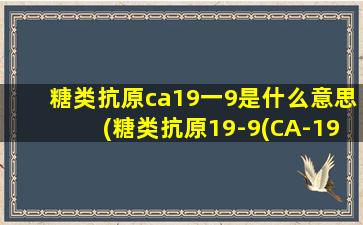 糖类抗原ca19一9是什么意思(糖类抗原19-9(CA-199)是什么意思)