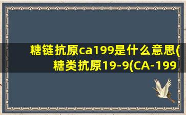 糖链抗原ca199是什么意思(糖类抗原19-9(CA-199)是什么意思)