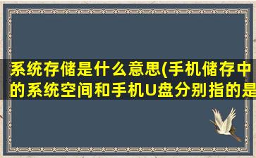 系统存储是什么意思(手机储存中的系统空间和手机U盘分别指的是什么有什么不同)