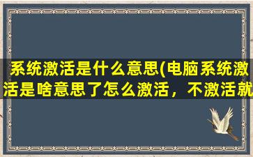 系统激活是什么意思(电脑系统激活是啥意思了怎么激活，不激活就咋了)