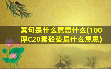 素句是什么意思什么(100厚C20素砼垫层什么意思)