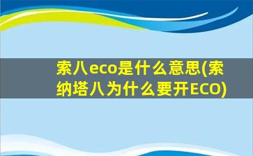 索八eco是什么意思(索纳塔八为什么要开ECO)