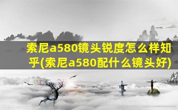 索尼a580镜头锐度怎么样知乎(索尼a580配什么镜头好)