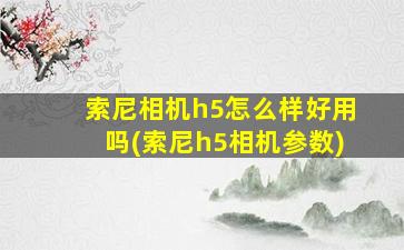 索尼相机h5怎么样好用吗(索尼h5相机参数)