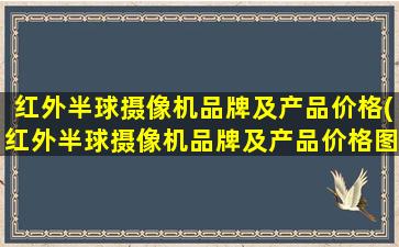 红外半球摄像机品牌及产品价格(红外半球摄像机品牌及产品价格图片)