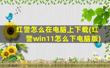 红警怎么在电脑上下载(红警win11怎么下电脑版)