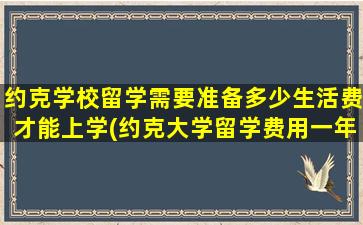 约克学校留学需要准备多少生活费才能上学(约克大学留学费用一年大概多少人民币)