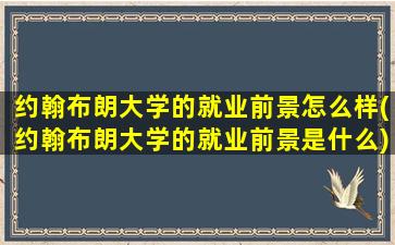 约翰布朗大学的就业前景怎么样(约翰布朗大学的就业前景是什么)