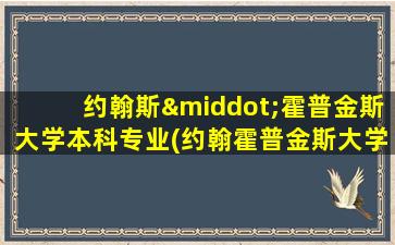 约翰斯·霍普金斯大学本科专业(约翰霍普金斯大学ba专业)