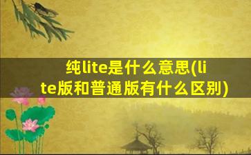 纯lite是什么意思(lite版和普通版有什么区别)