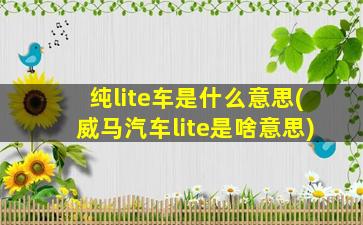 纯lite车是什么意思(威马汽车lite是啥意思)