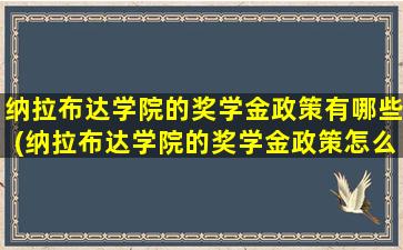 纳拉布达学院的奖学金政策有哪些(纳拉布达学院的奖学金政策怎么样)