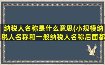 纳税人名称是什么意思(小规模纳税人名称和一般纳税人名称后面都是“公司”吗)