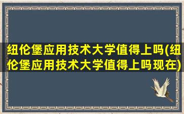 纽伦堡应用技术大学值得上吗(纽伦堡应用技术大学值得上吗现在)