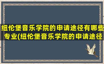 纽伦堡音乐学院的申请途径有哪些专业(纽伦堡音乐学院的申请途径有哪些要求)