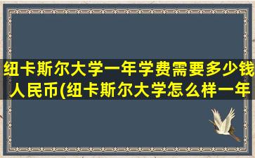 纽卡斯尔大学一年学费需要多少钱人民币(纽卡斯尔大学怎么样一年学费是多少)