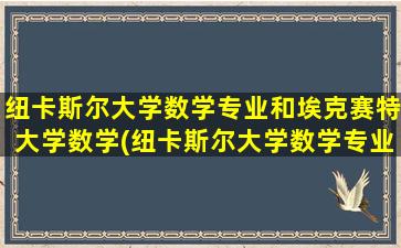 纽卡斯尔大学数学专业和埃克赛特大学数学(纽卡斯尔大学数学专业怎么样)