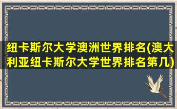 纽卡斯尔大学澳洲世界排名(澳大利亚纽卡斯尔大学世界排名第几)